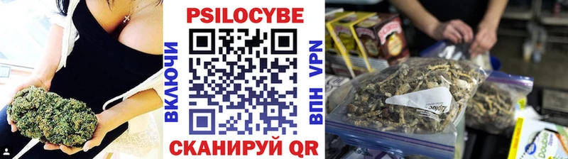 Псилоцибиновые грибы мухоморы  нарко площадка Telegram  Кола  цена наркотик 